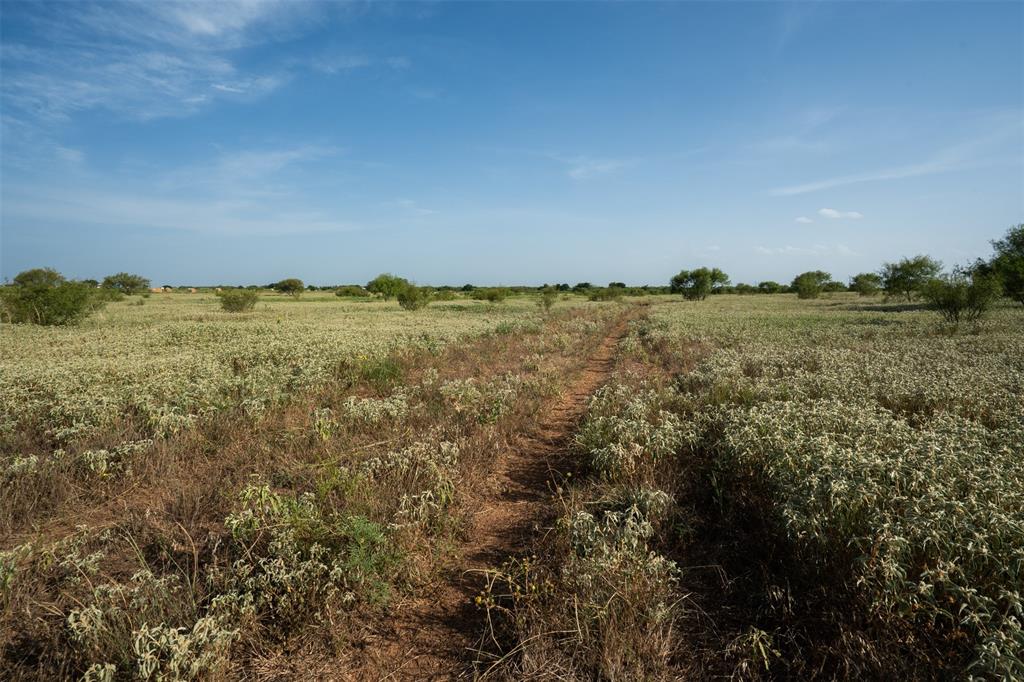 Tbd Napier Road Wichita Falls, TX 76305 - Photo 3 of 24 a view of lake and mountain
