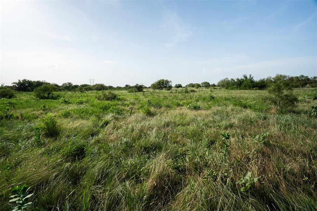 Tbd Napier Road Wichita Falls, TX 76305 - Photo 5 of 24 a view of a lush green forest with lots of trees