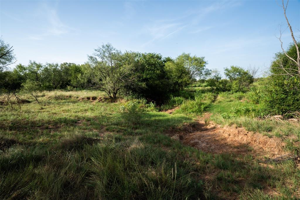 Tbd Napier Road Wichita Falls, TX 76305 - Photo 8 of 24 a view of a lush green space