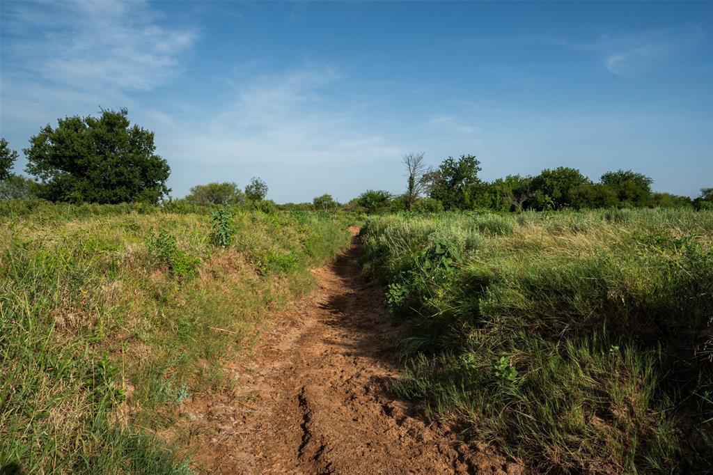 Tbd Napier Road Wichita Falls, TX 76305 - Photo 10 of 24 a view of a garden