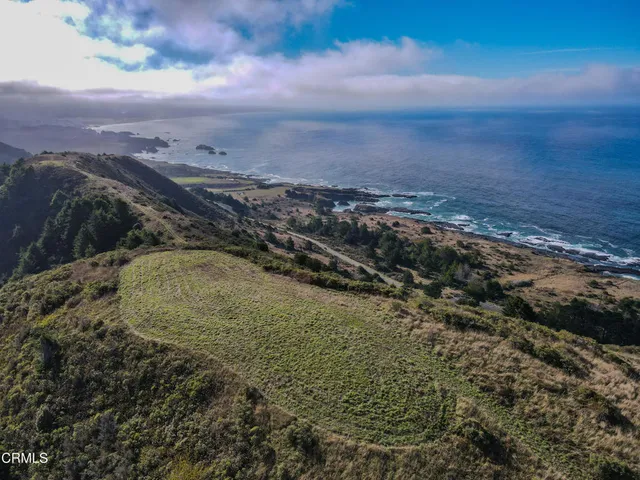 a view of a dry yard with wooden fence
