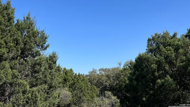 a view of a city with lush green forest