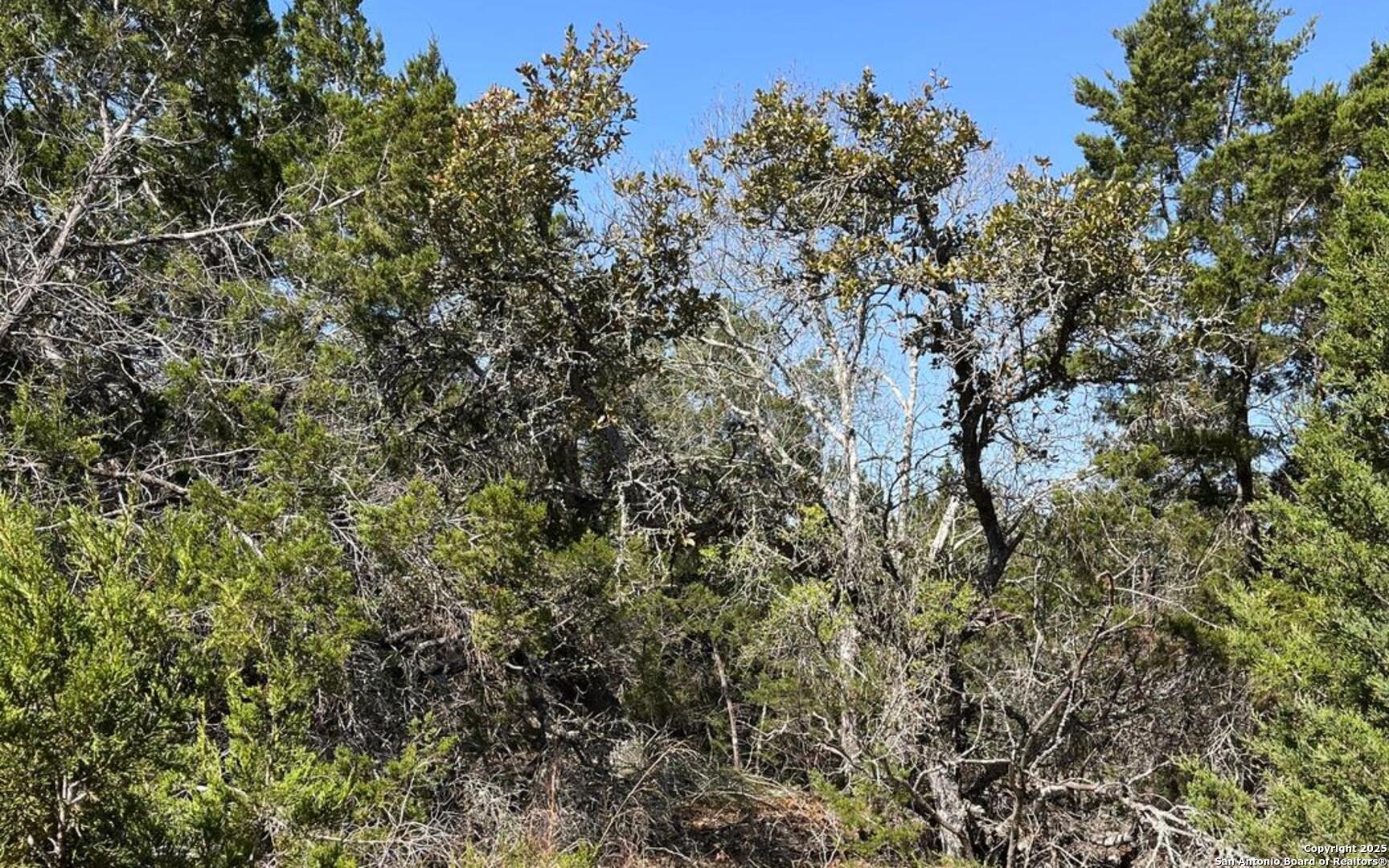 0 State Hwy 46 W Spring Branch, TX 78070 - Photo 12 of 27 a view of a tree