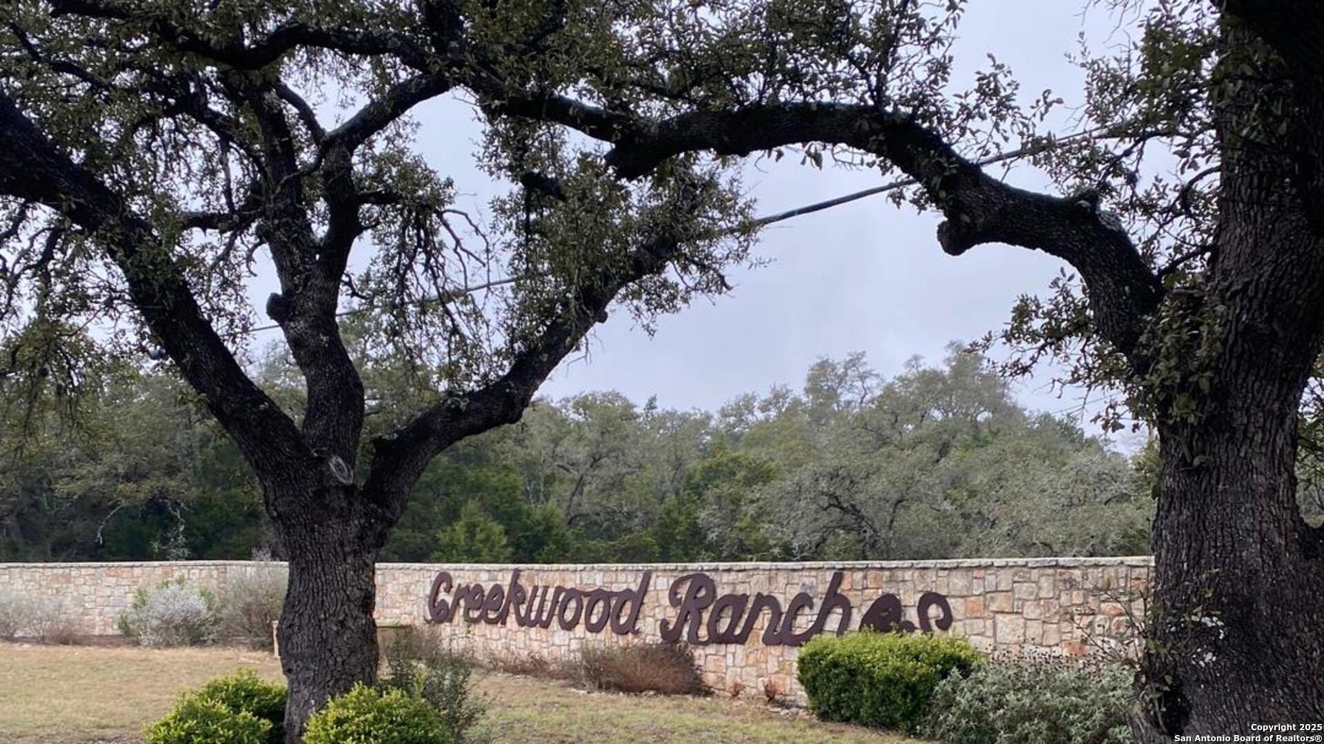 0 State Hwy 46 W Spring Branch, TX 78070 - Photo 3 of 27