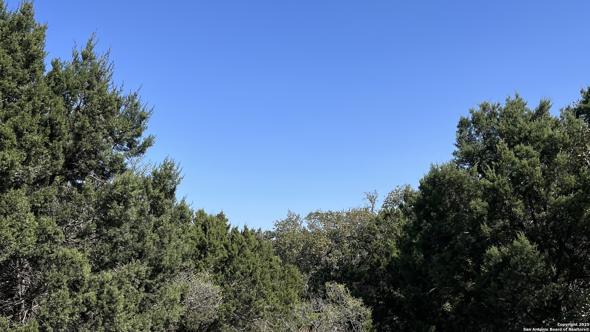 0 State Hwy 46 W Spring Branch, TX 78070 - Photo 4 of 27 a view of a city with lush green forest