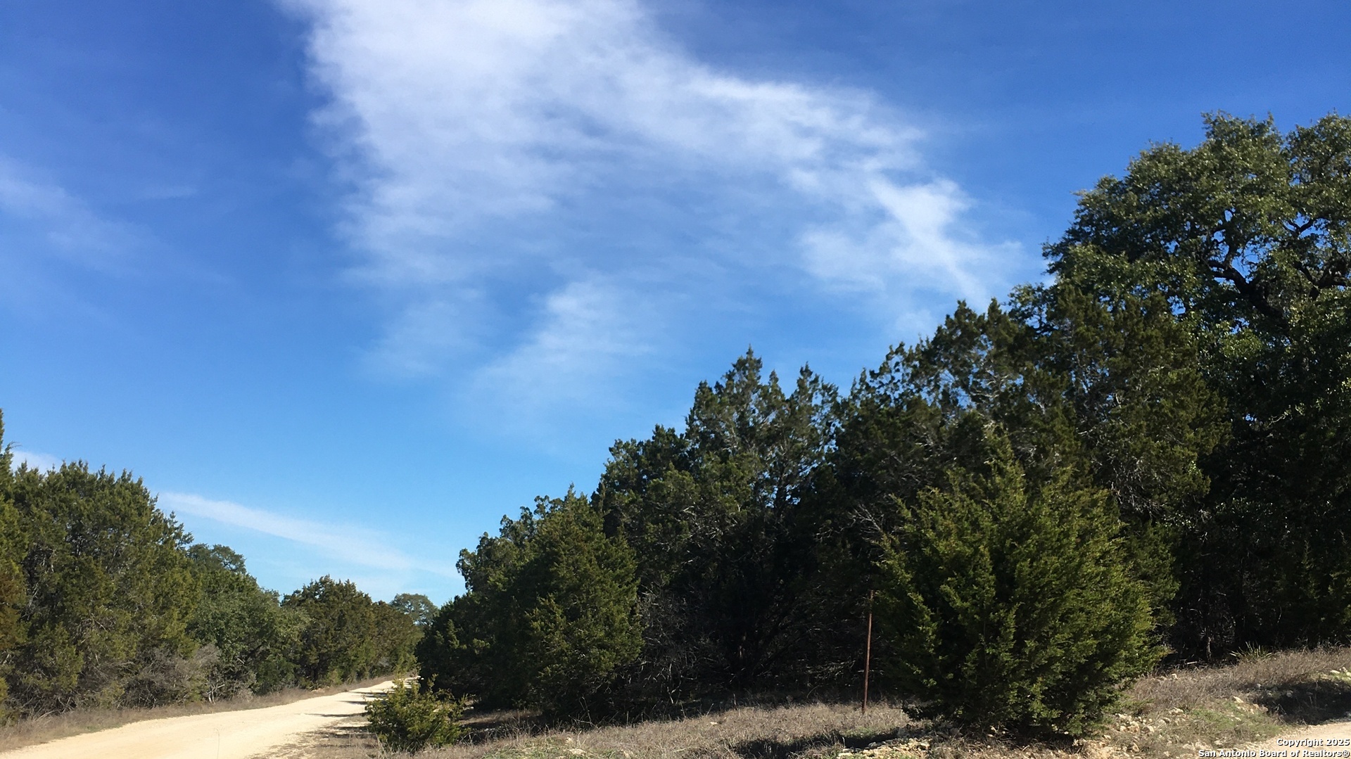 0 State Hwy 46 W Spring Branch, TX 78070 - Photo 5 of 27 a view of a city with lush green forest