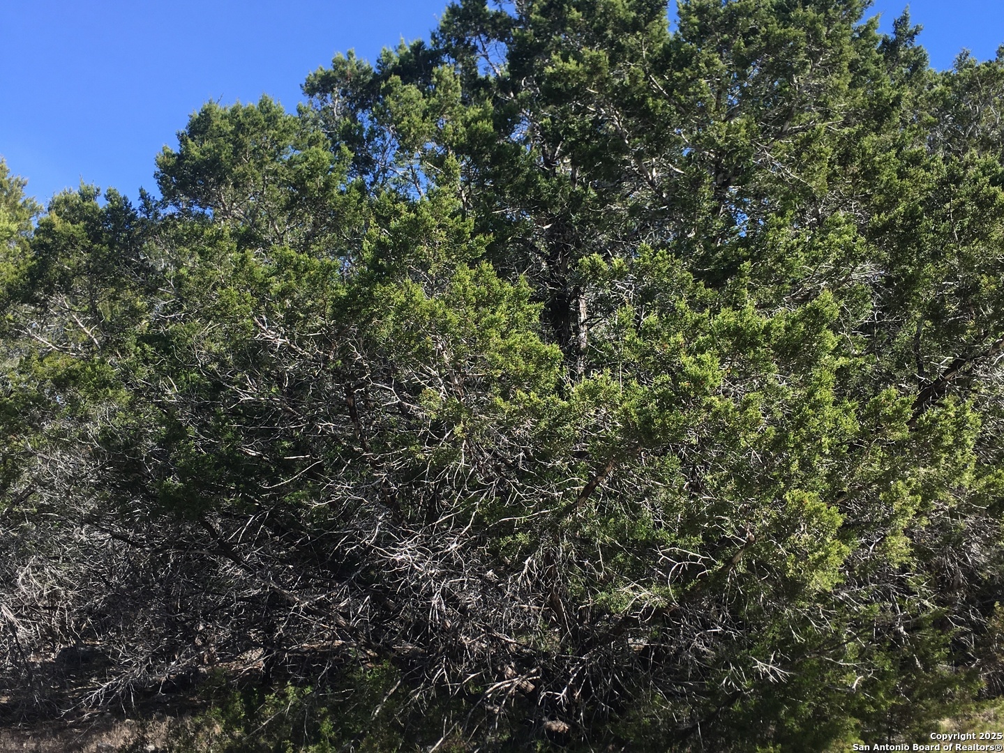 0 State Hwy 46 W Spring Branch, TX 78070 - Photo 6 of 27