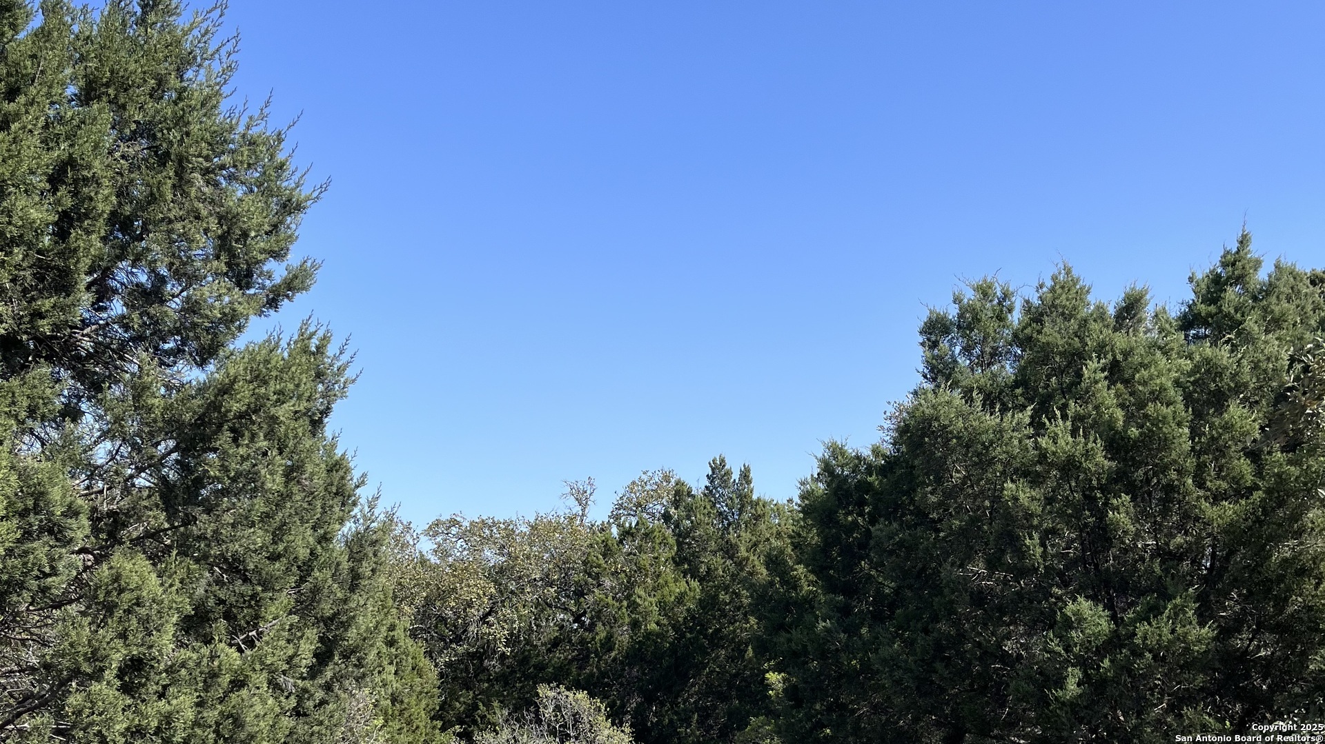 0 State Hwy 46 W Spring Branch, TX 78070 - Photo 9 of 27 a view of a tree with a tree in the background