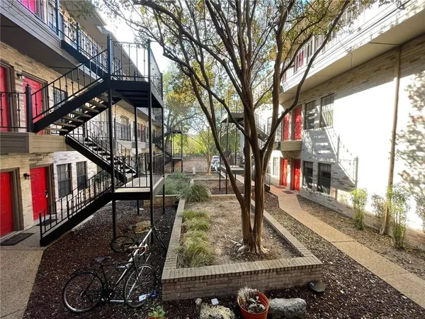 a tree in the middle of a yard