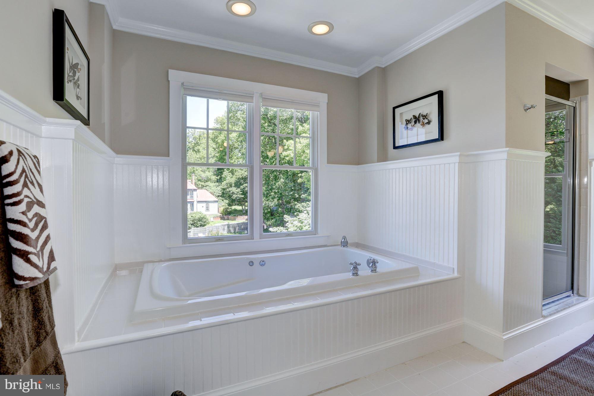 9805 Hollow Glen Place Silver Spring, MD 20910 - Photo 20 of 27 Upper Level - Master Bath