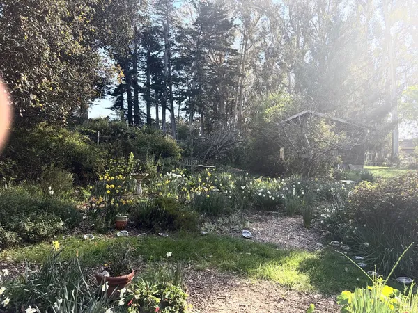 $2,180,000 | 7 Linsdale Lane, Point Reyes Station, CA 94956