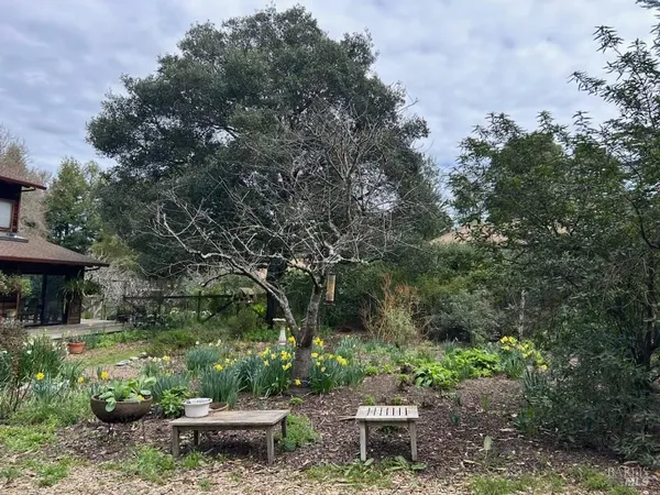 a backyard of a house with lots of green space