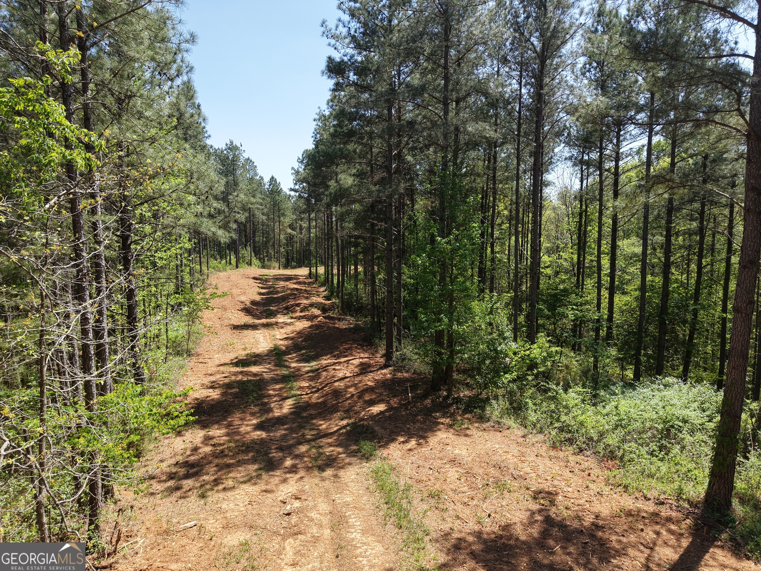 0 Ryo Mountain Road, Unit 9609 Fairmount, GA 30139 - Photo 39 of 87 Gallery Image 39