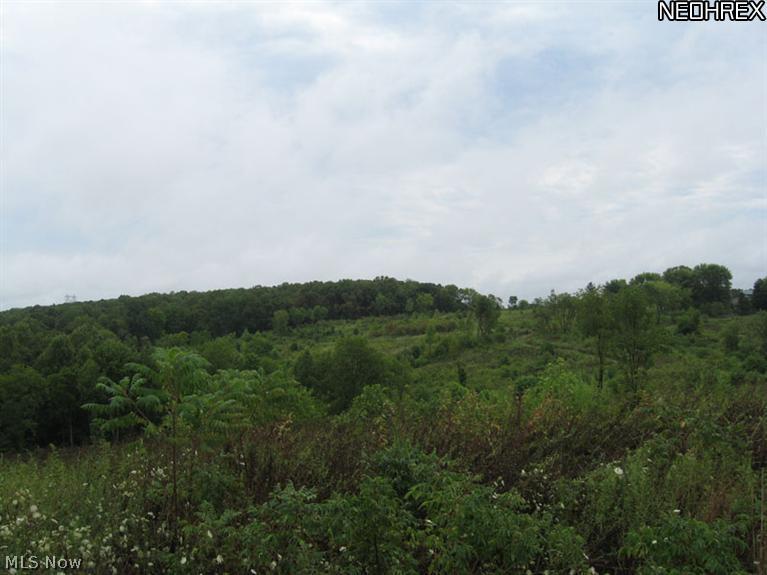 Depue Road McArthur, OH 45651 - Photo 7 of 9