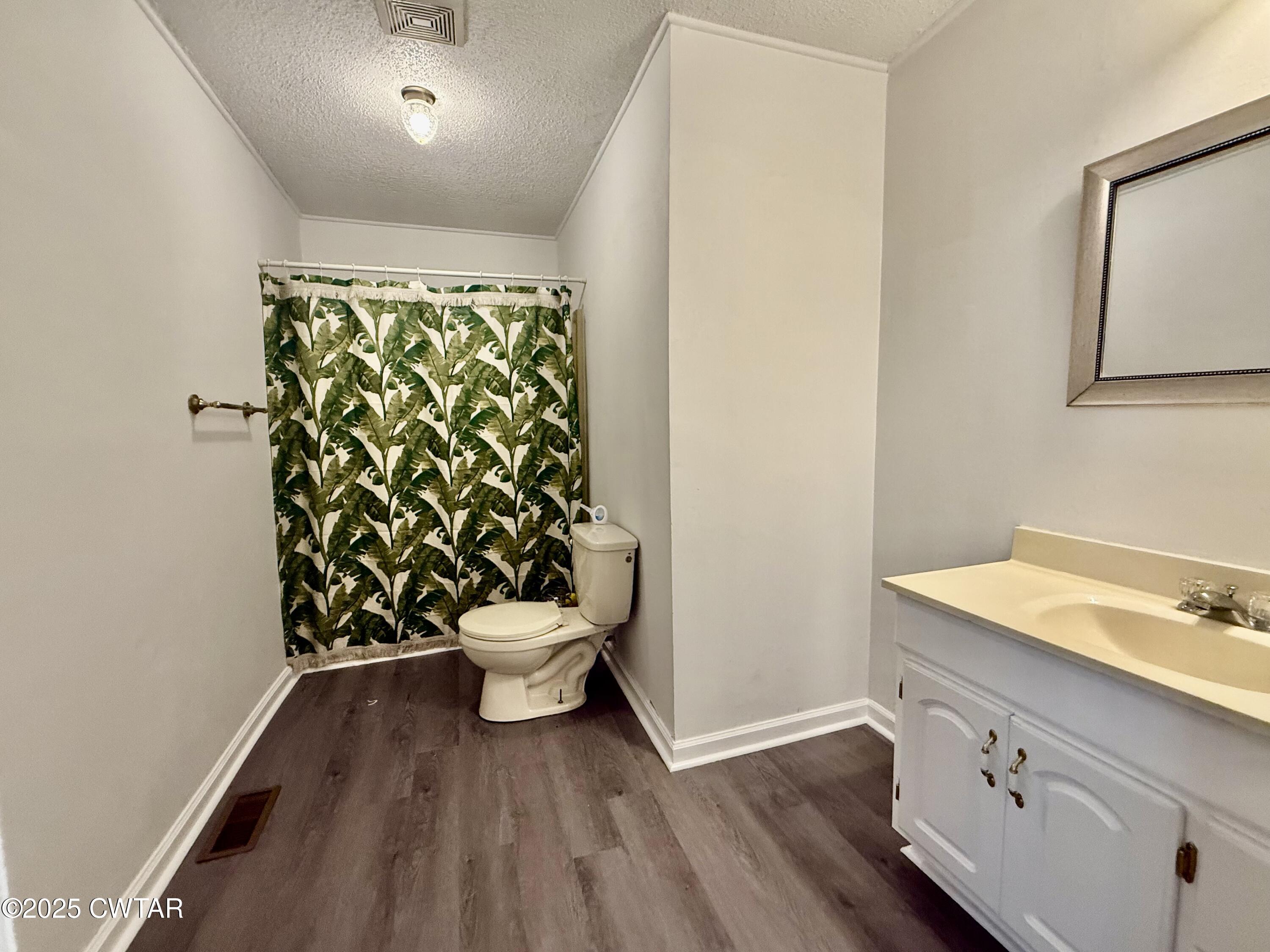 65 Magnolia Road Tiptonville, TN 38079 - Photo 8 of 11 a bathroom with a sink a toilet a mirror and shower curtain