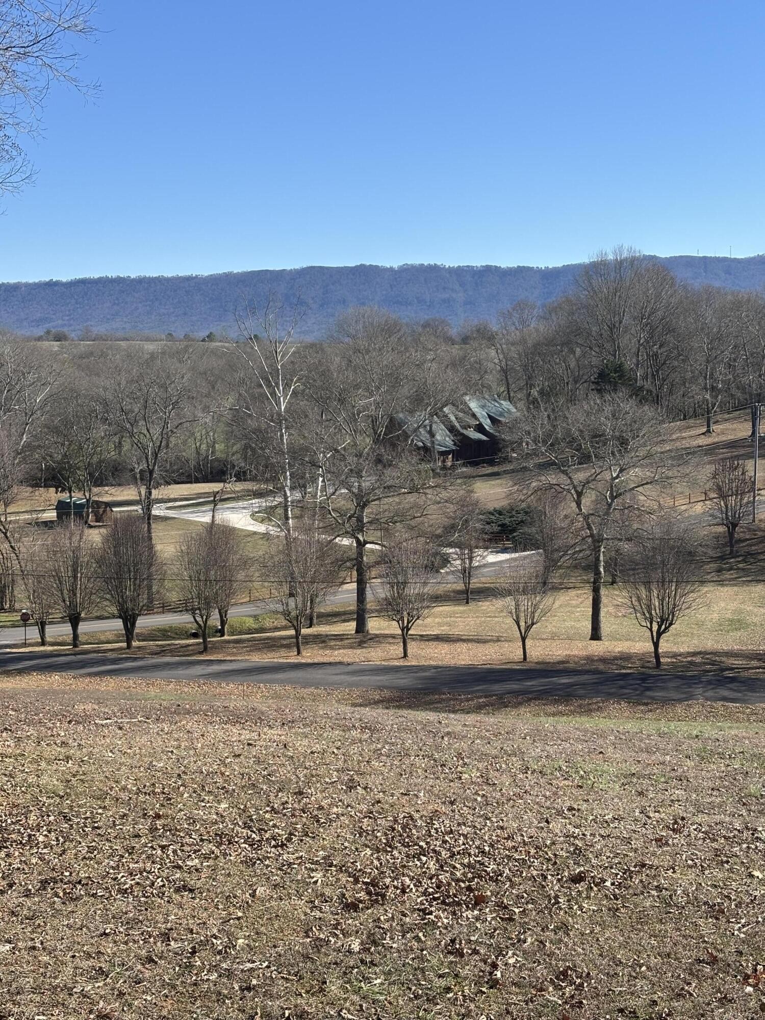 110 Terry Lane Benton, TN 37307 - Photo 45 of 50