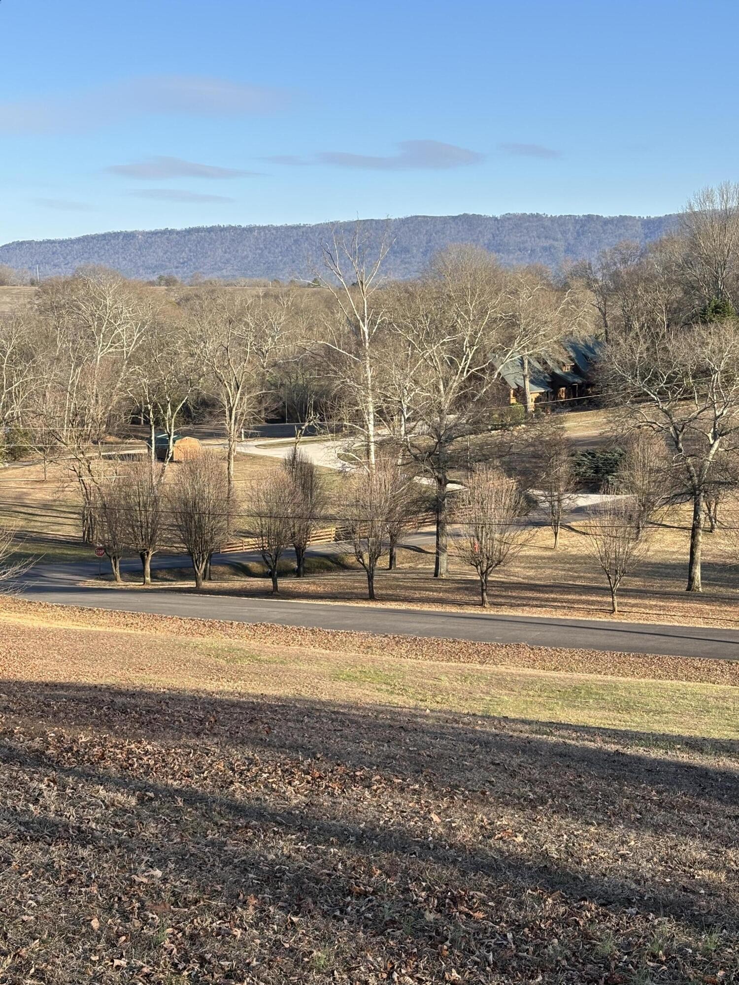 110 Terry Lane Benton, TN 37307 - Photo 46 of 50