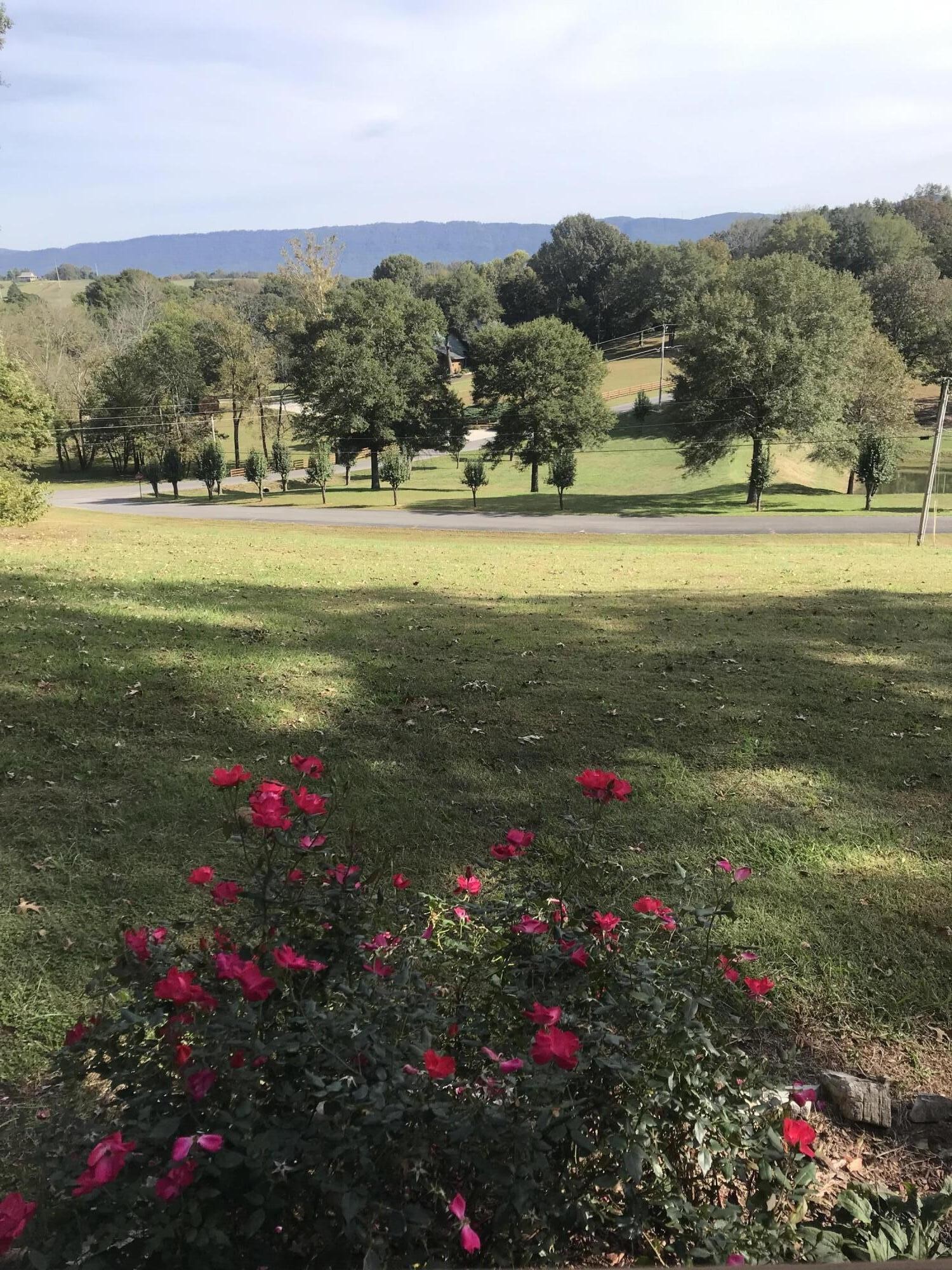 110 Terry Lane Benton, TN 37307 - Photo 50 of 50