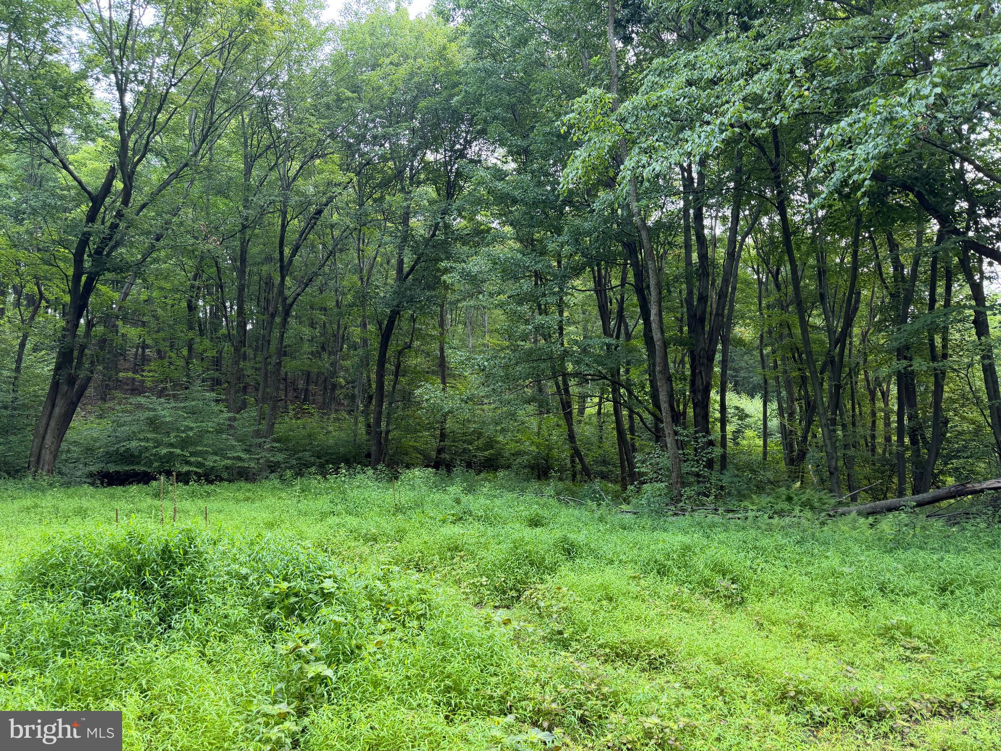 Three Laurel Mountain Road Three Springs, PA 17264 - Photo 20 of 74 Gallery Image 20