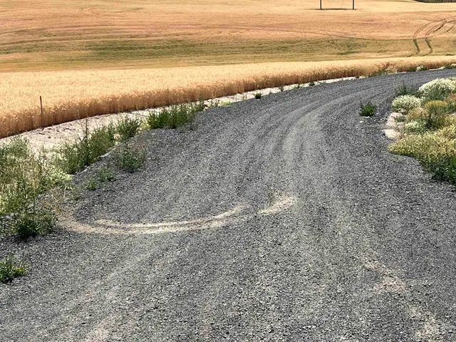 $235,000 | Tbd Tbd Gray Lane, Unit 3, Viola, ID 83872