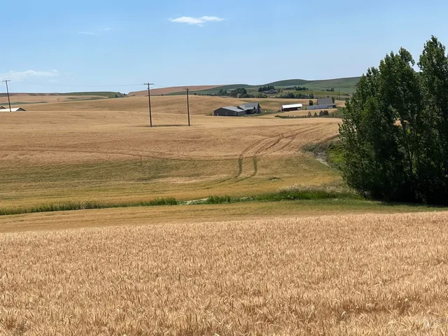 $235,000 | Tbd Tbd Gray Lane, Unit 3, Viola, ID 83872