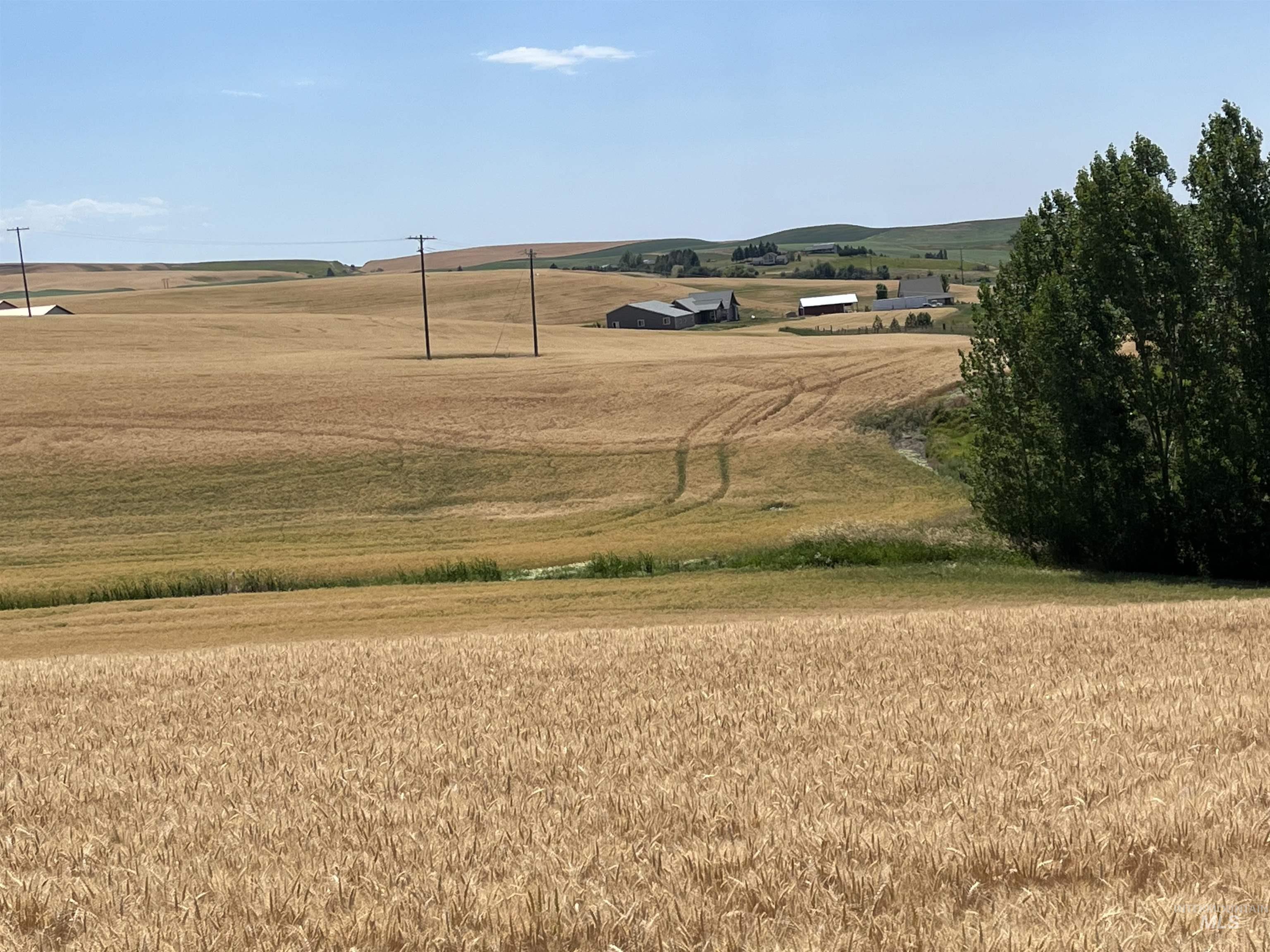 Tbd Tbd Gray Lane, Unit 3 Viola, ID 83872 - Photo 13 of 26 View of home's community with a view of rural / pastoral area