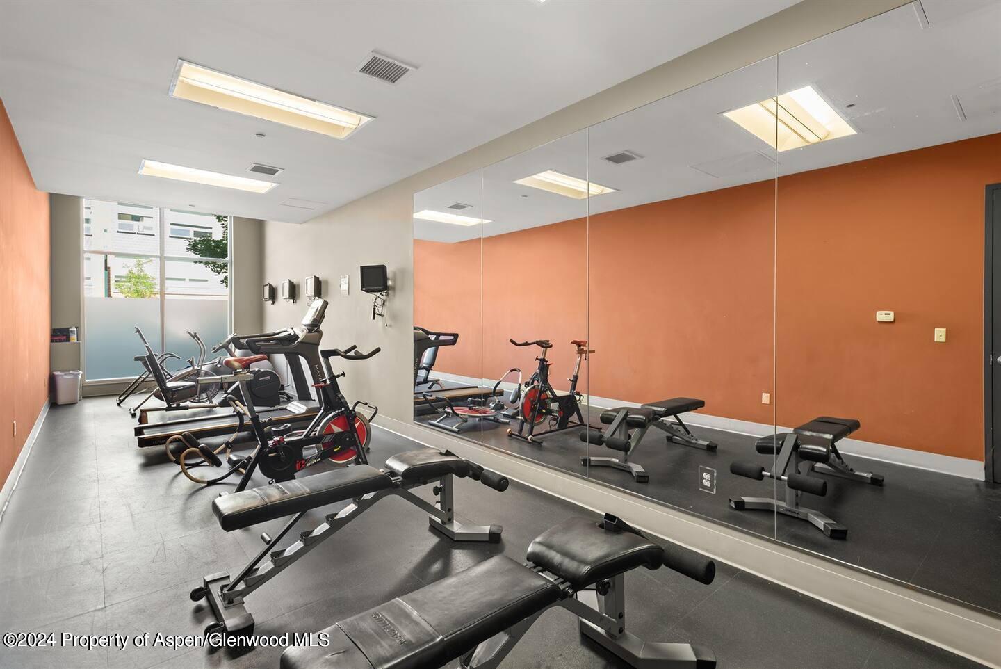 361 Robinson Street, Unit 336 Basalt, CO 81621 - Photo 13 of 16 GYM