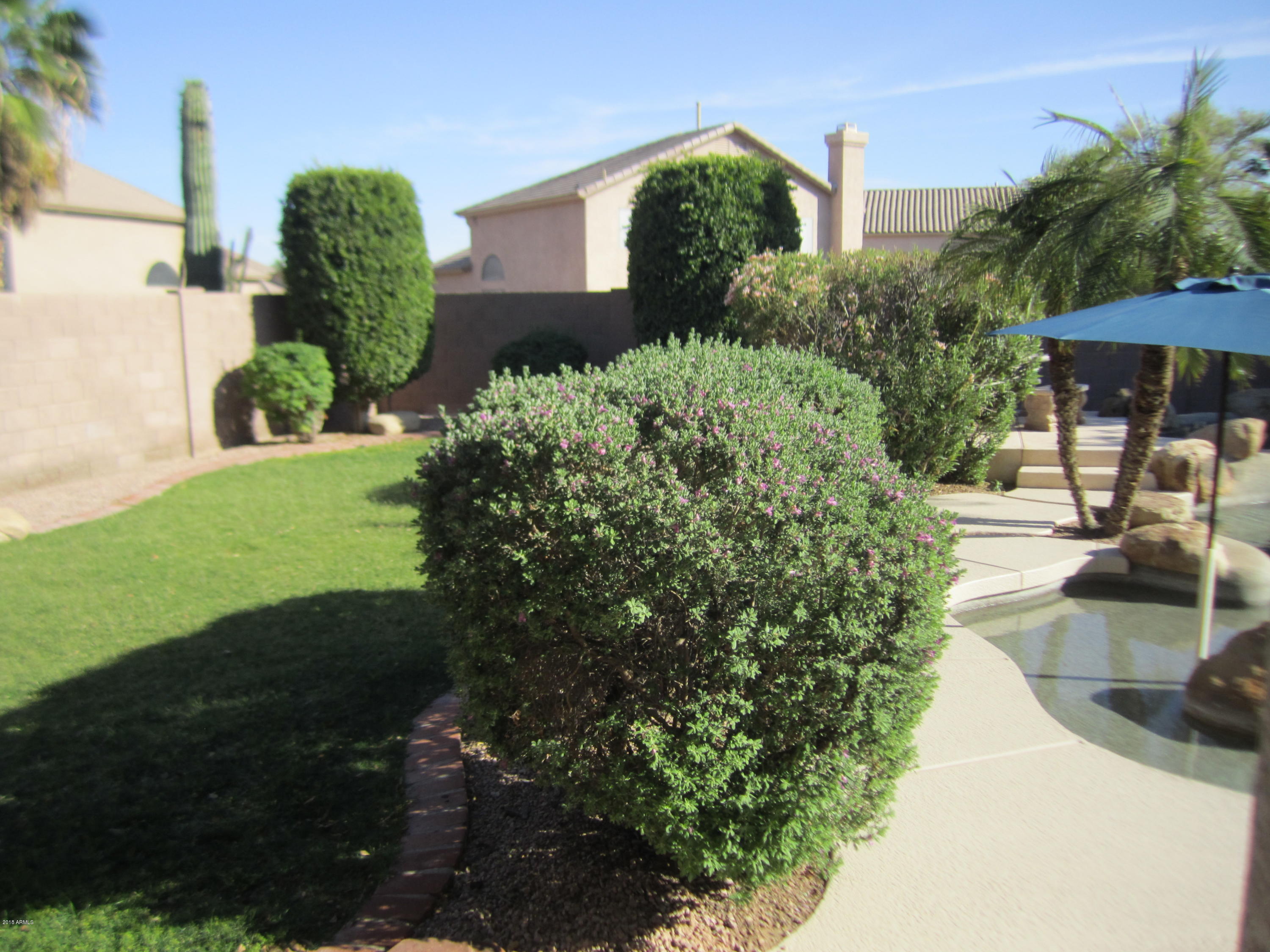 4637 East Frye Road Phoenix, AZ 85048 - Photo 45 of 46 IMG_2088