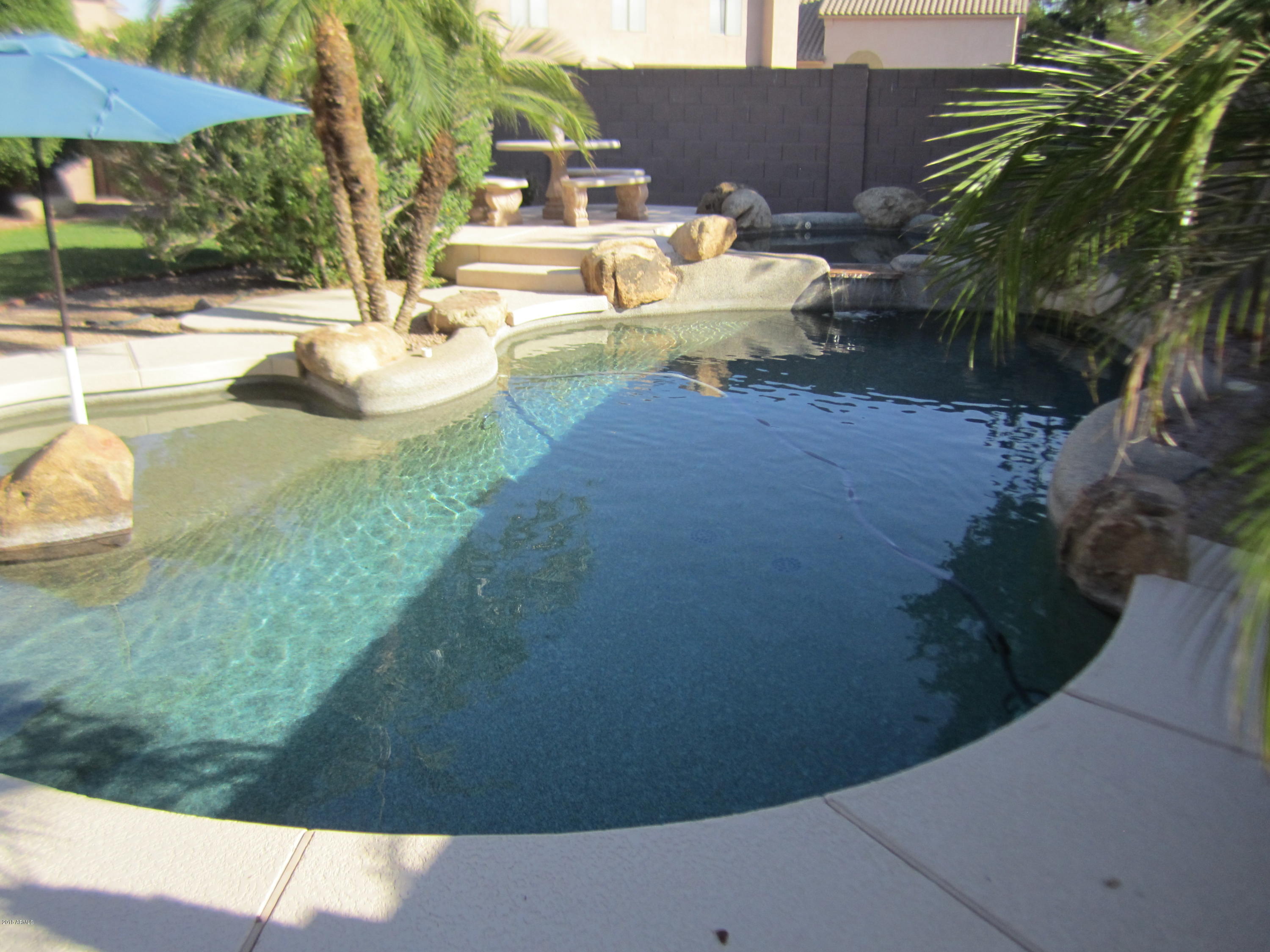 4637 East Frye Road Phoenix, AZ 85048 - Photo 46 of 46 IMG_2091