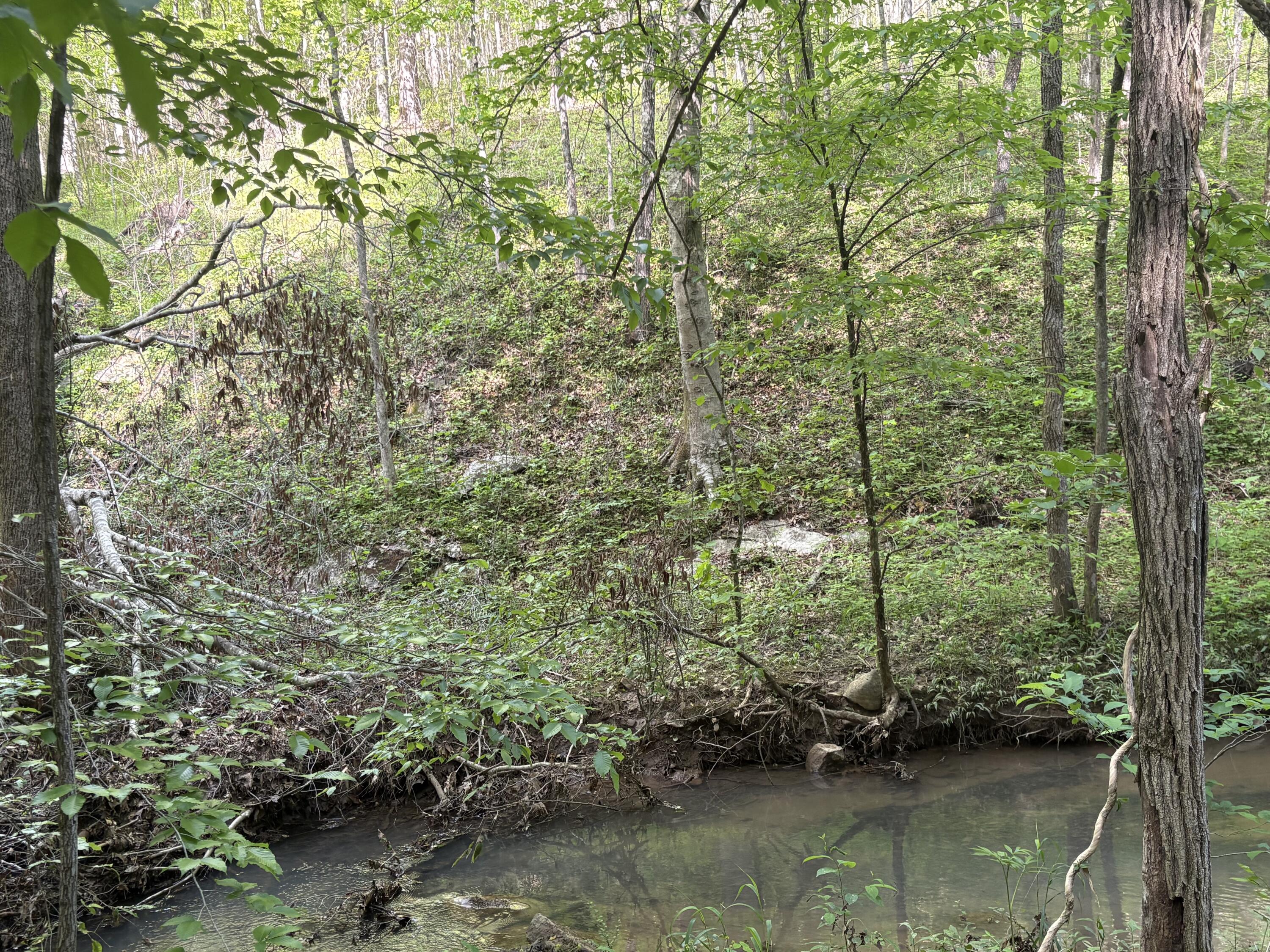 0 Egypt Hollow Road Trenton, GA 30752 - Photo 6 of 15 IMG_1580