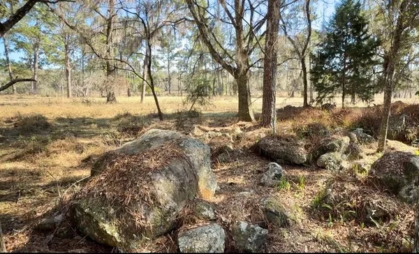 $1,450,000 | 10550 Northwest 115th Avenue, Reddick, FL 32686