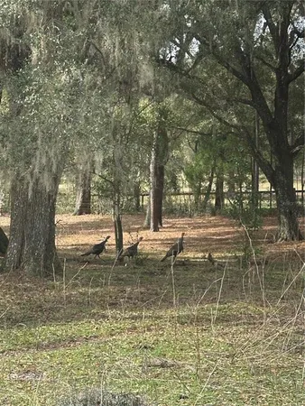 $1,450,000 | 10550 Northwest 115th Avenue, Reddick, FL 32686