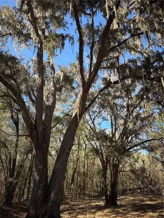 $1,450,000 | 10550 Northwest 115th Avenue, Reddick, FL 32686