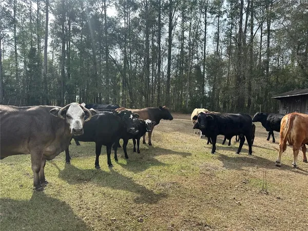 $1,450,000 | 10550 Northwest 115th Avenue, Reddick, FL 32686