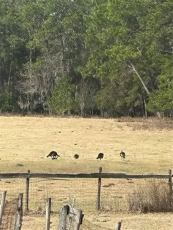 $1,450,000 | 10550 Northwest 115th Avenue, Reddick, FL 32686