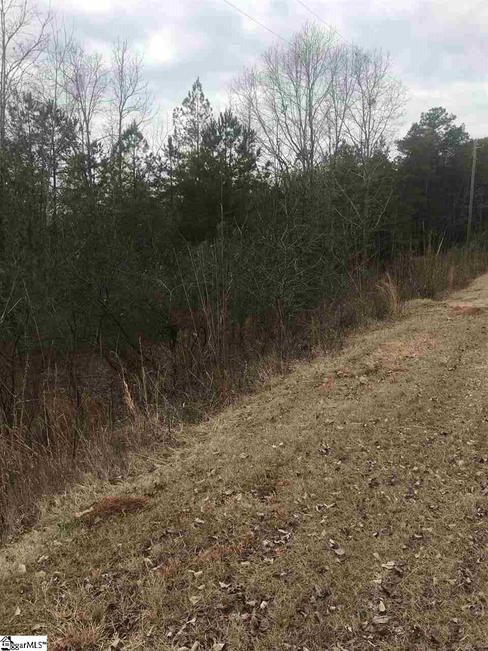 Sarah Simpson Road Iva, SC 29655 - Photo 2 of 11