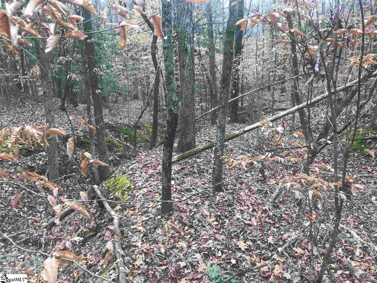 Sarah Simpson Road Iva, SC 29655 - Photo 3 of 11