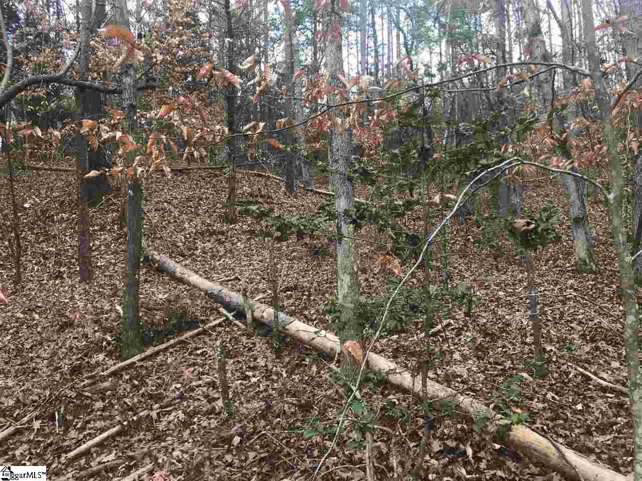 Sarah Simpson Road Iva, SC 29655 - Photo 4 of 11