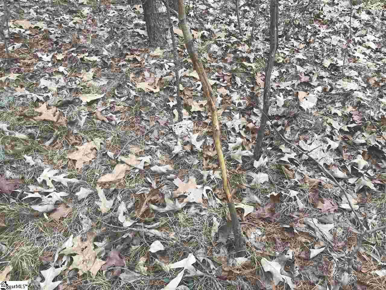 Sarah Simpson Road Iva, SC 29655 - Photo 6 of 11