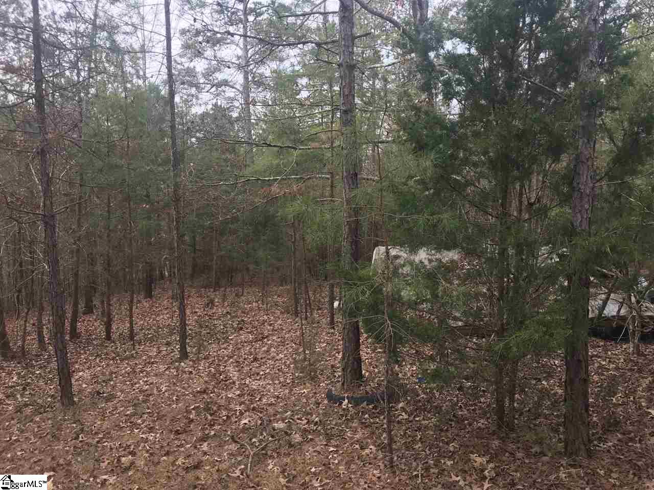 Sarah Simpson Road Iva, SC 29655 - Photo 8 of 11