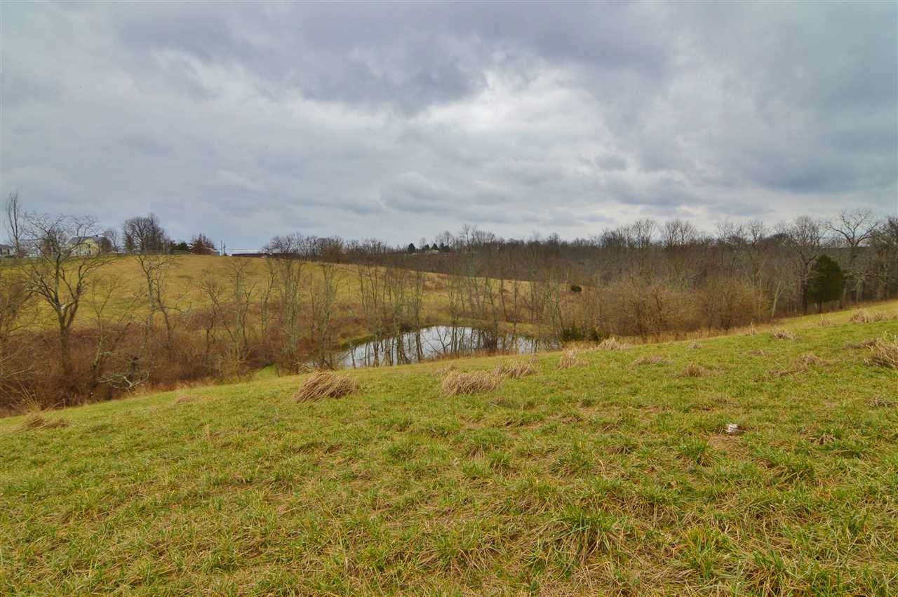 Gallery Image 7
