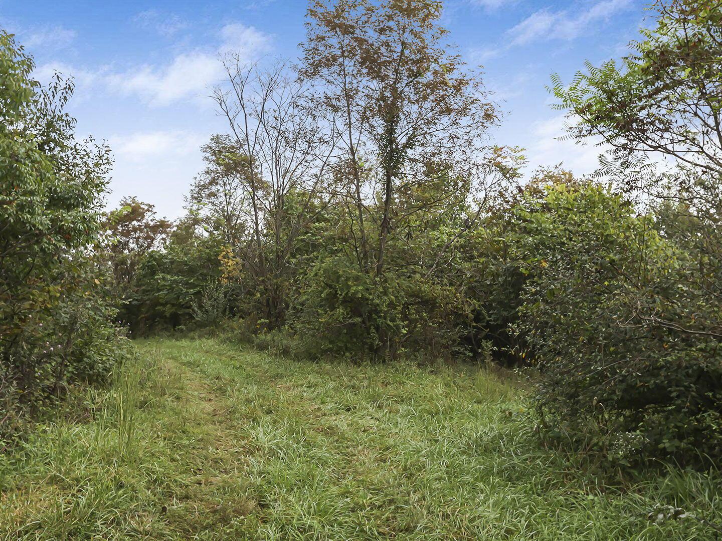 0 Cr E Road Pomeroy, OH 45769 - Photo 25 of 82 33-web-or-mls-0V3A7076