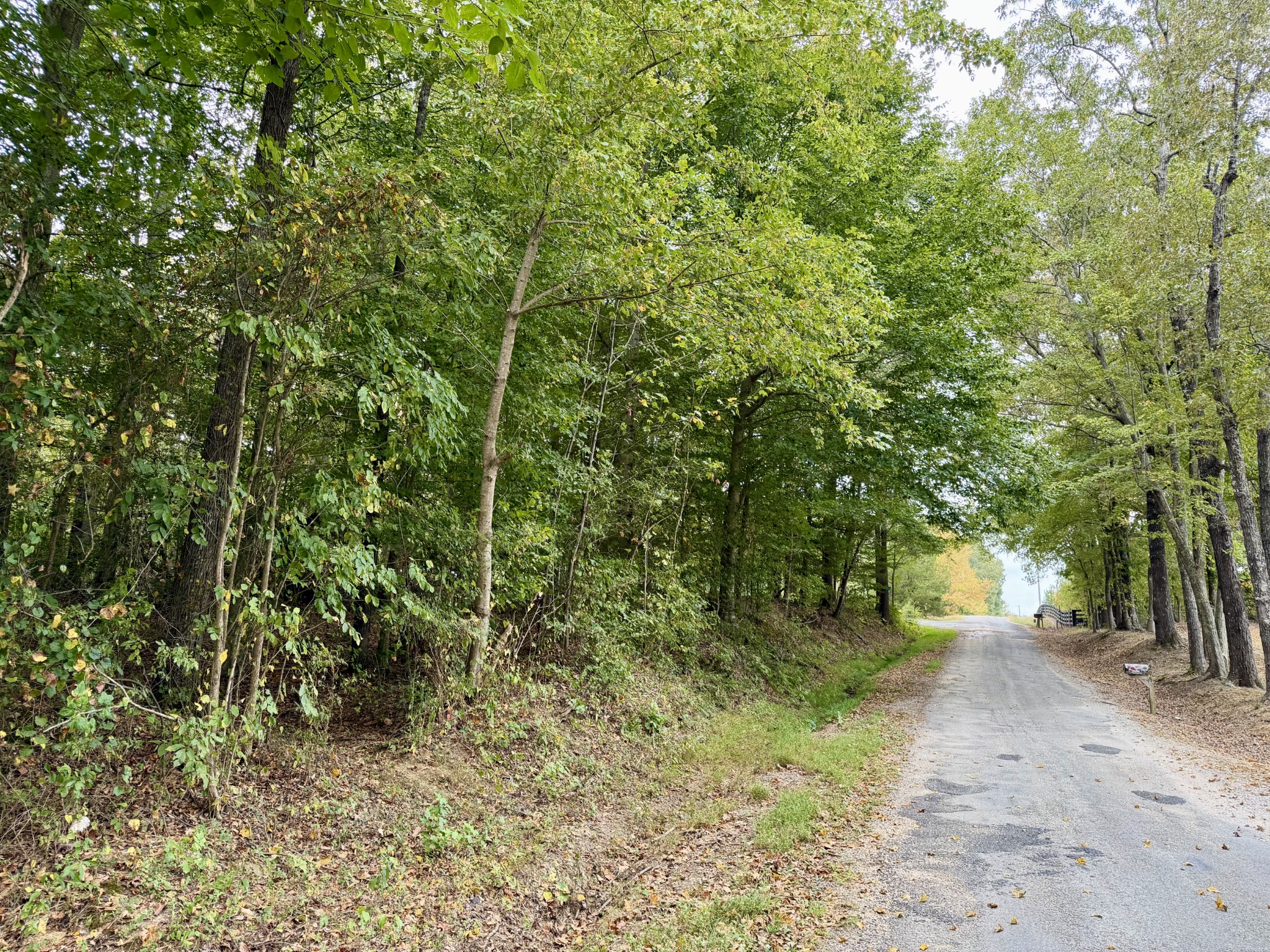 0 McDonald Road Lexington, TN 38351 - Photo 2 of 13 Gallery Image 2