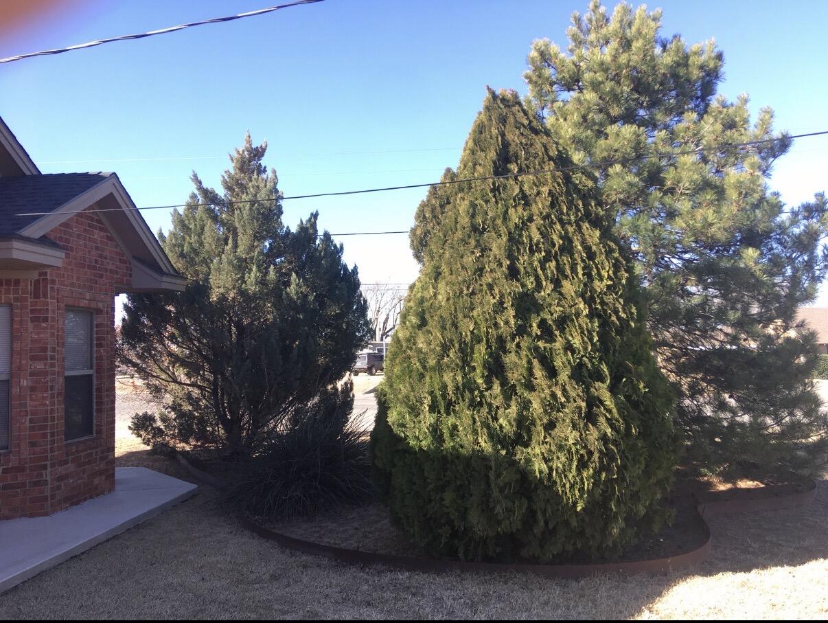101 Southeast 6th Plainview, TX 79072 - Photo 7 of 31 a view of a yard