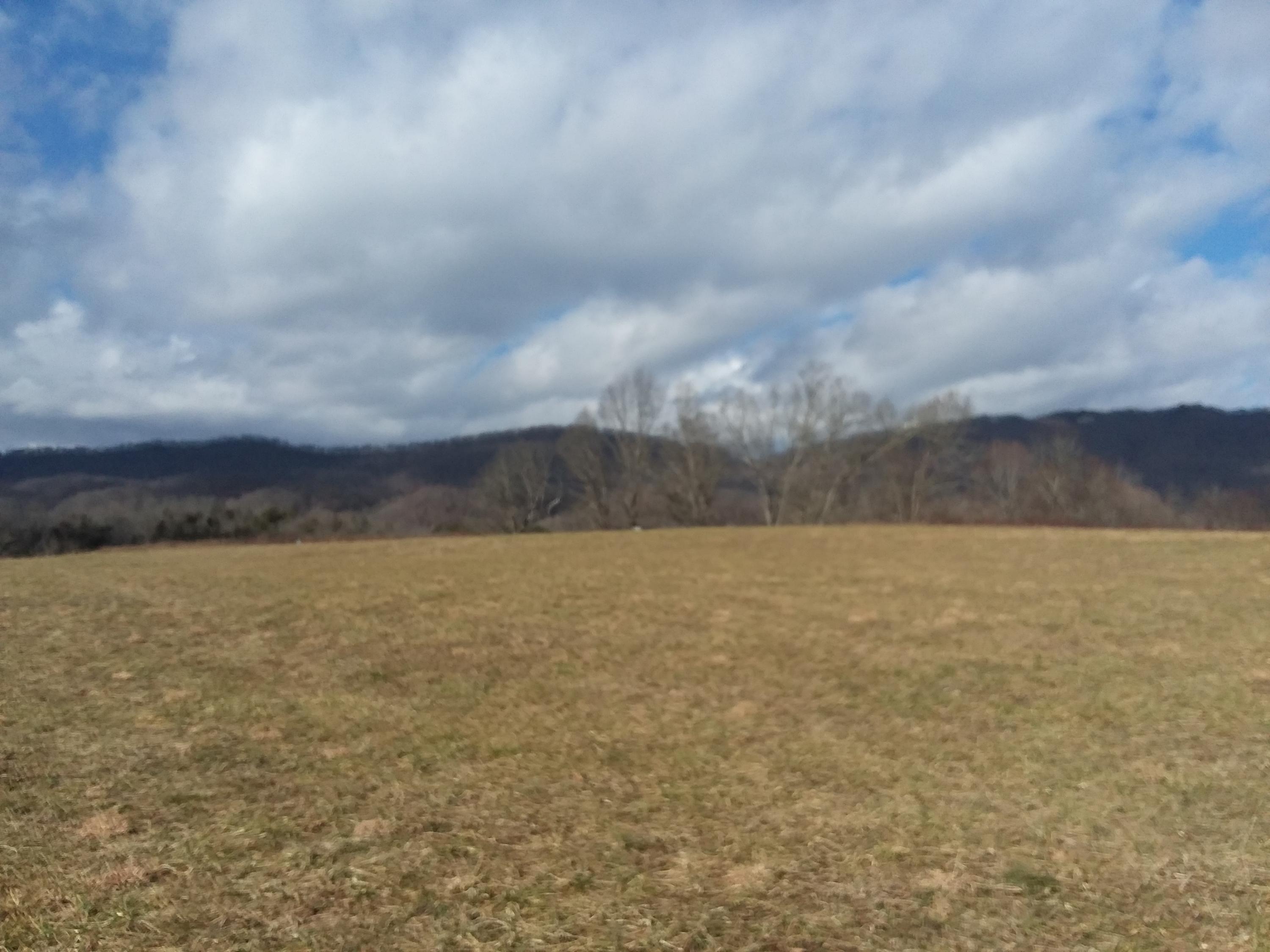 813 Wilderness Road Jonesville, VA 24263 - Photo 3 of 8 20190126_132252
