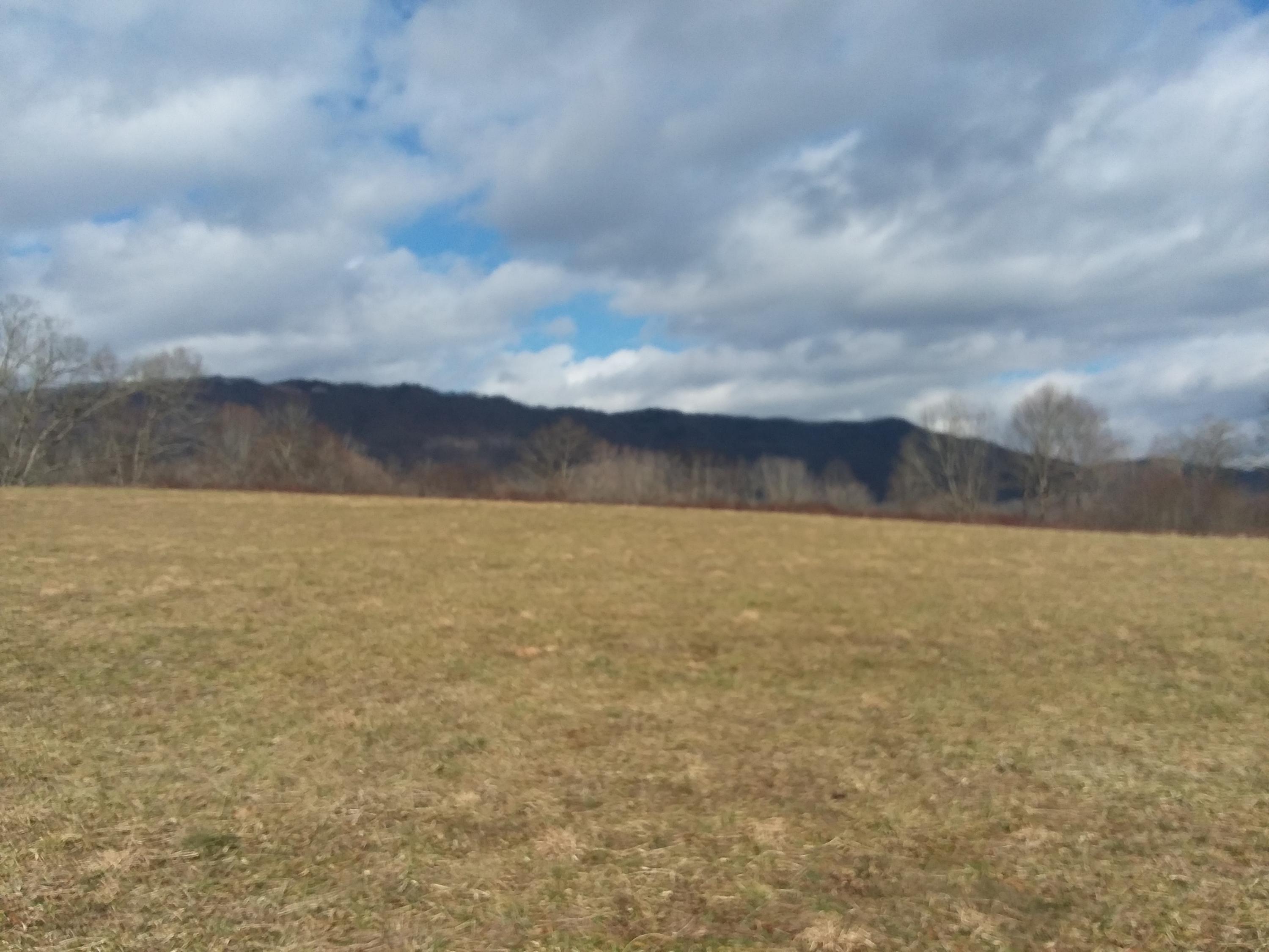 813 Wilderness Road Jonesville, VA 24263 - Photo 4 of 8 20190126_132246