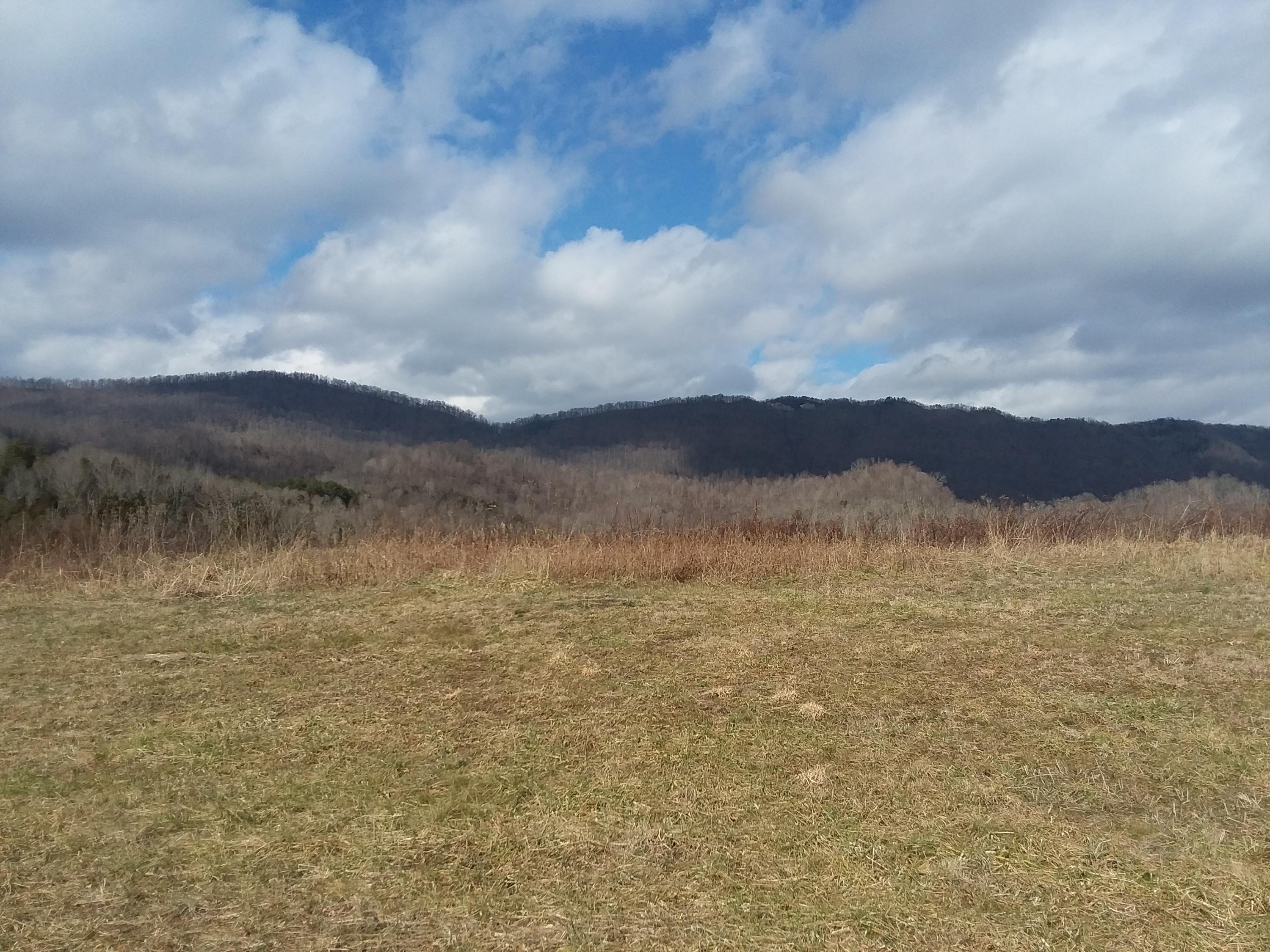813 Wilderness Road Jonesville, VA 24263 - Photo 5 of 8 20190126_132046