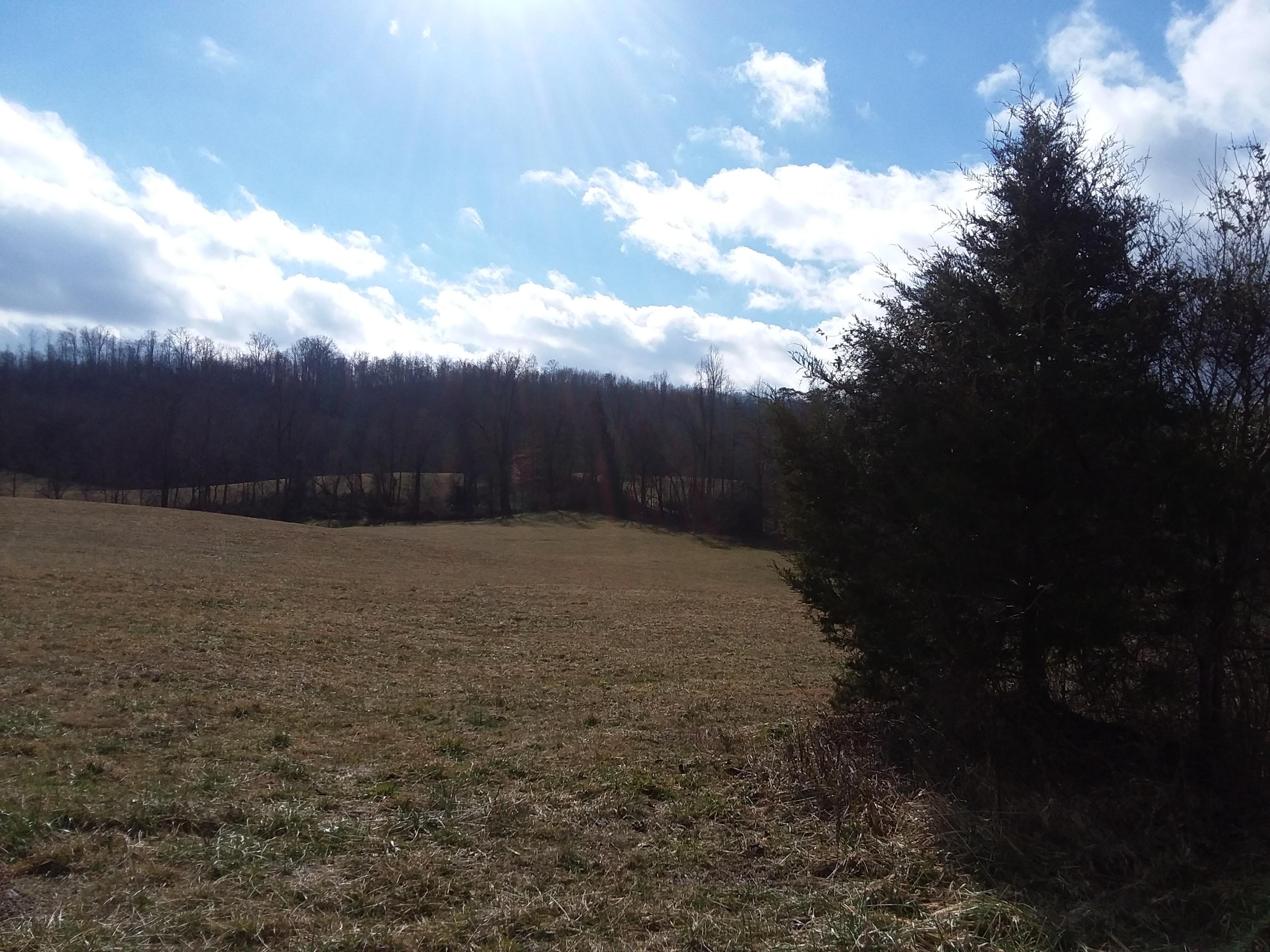 813 Wilderness Road Jonesville, VA 24263 - Photo 7 of 8 20190126_132026
