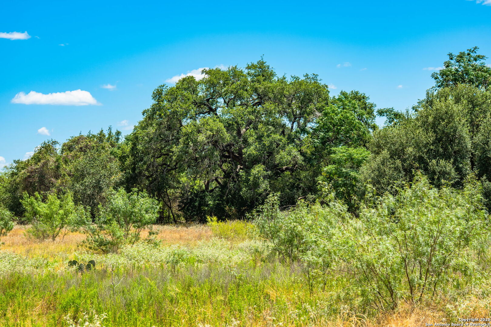 1700 Bruce Road Poteet, TX 78065 - Photo 28 of 46 a view of a yard with a tree