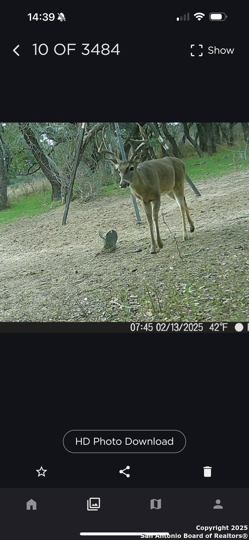 1700 Bruce Road Poteet, TX 78065 - Photo 36 of 46 a view of a yard